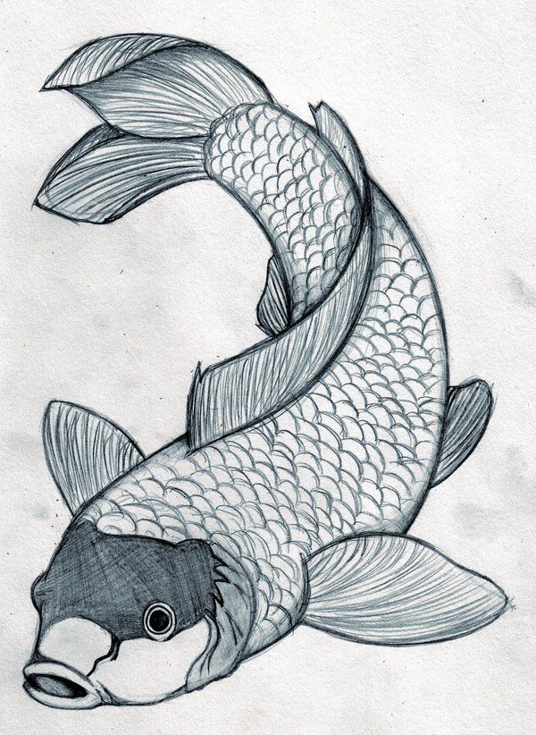 600x822 Fish Designs Free Download Japanese Koi Fish Tattoo Design