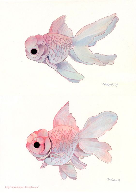 562x800 On Cotton, Wood