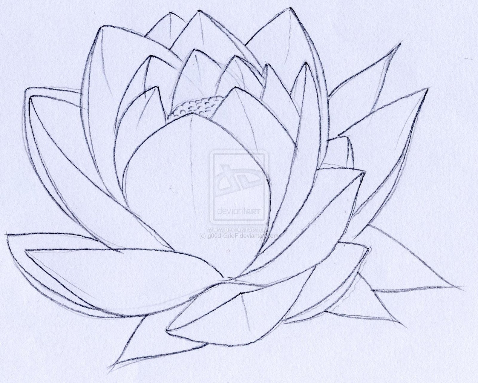 1600x1282 Japanese Lotus Flower Drawing Fine Outline Lotus Flower Clip Art
