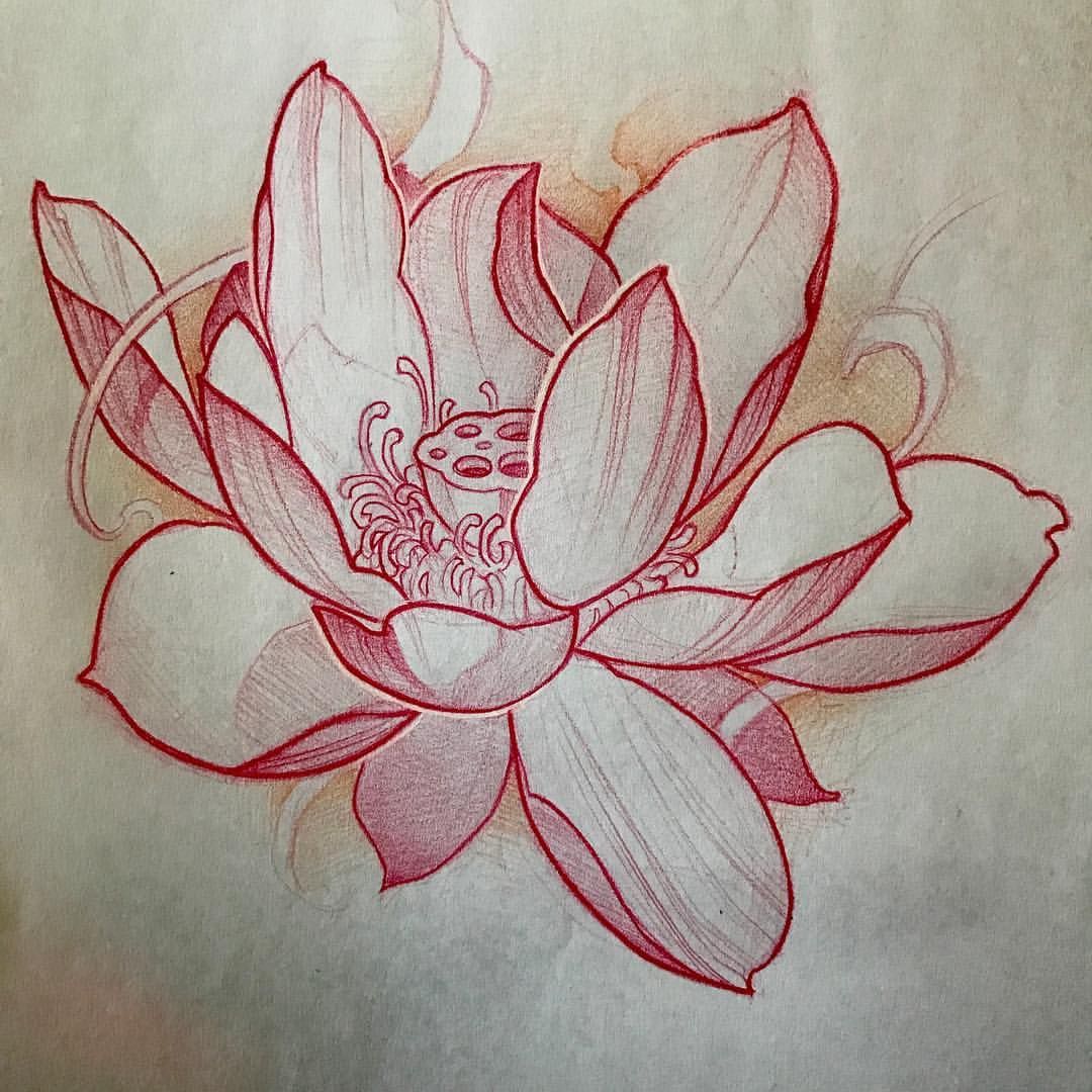 Japanese Lotus Flower Drawing at GetDrawings | Free download