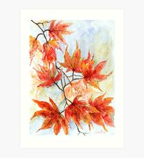 210x230 Japanese Maple Drawing Art Prints Redbubble