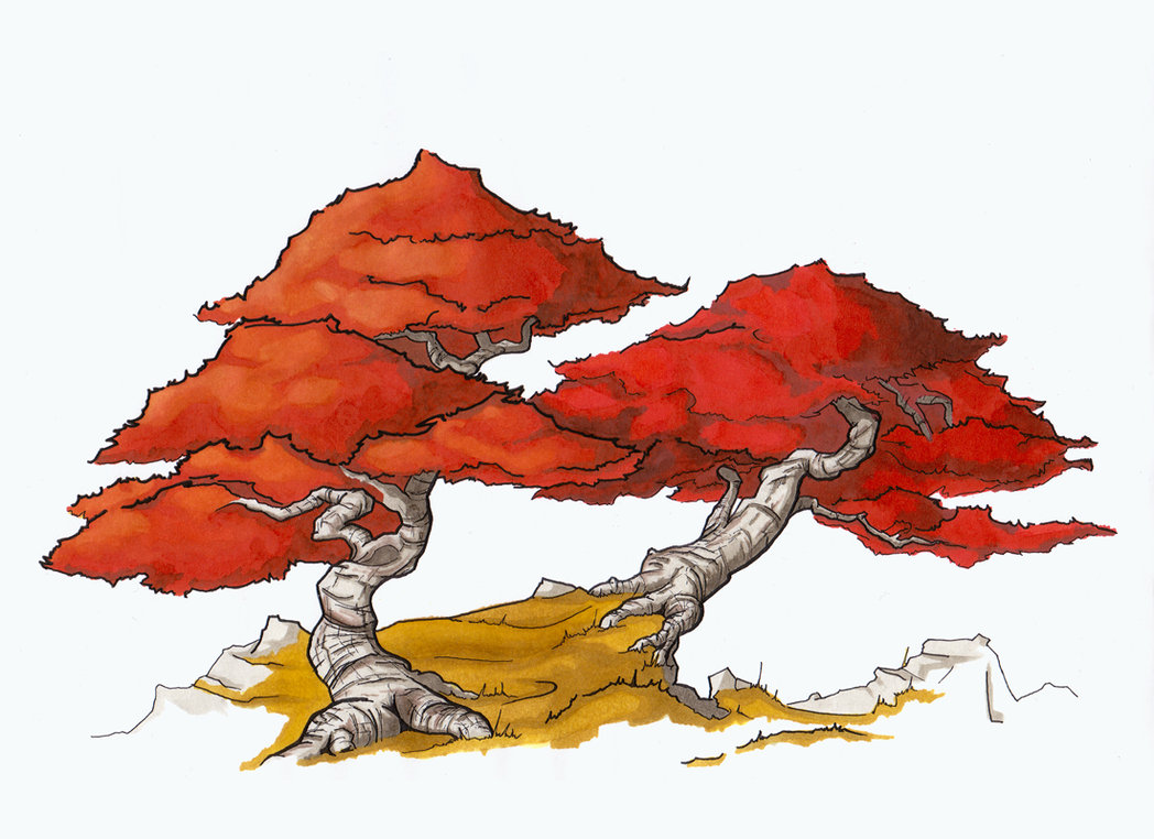 1048x762 Red Japanese Maple By Schwarzpixel