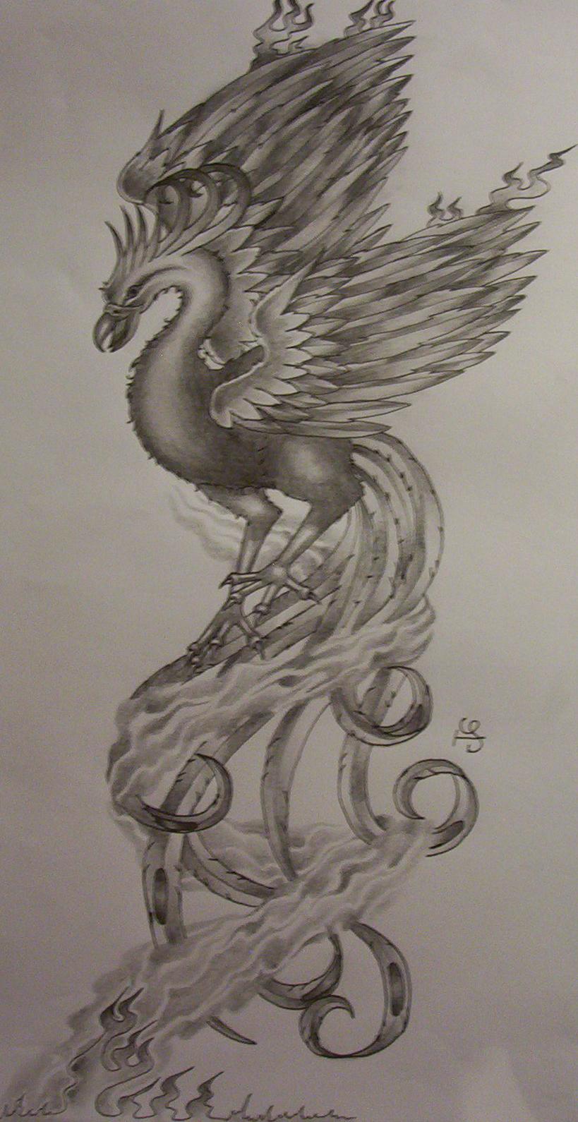 819x1590 Phoenix Tattoo Design By Tattoosuzette