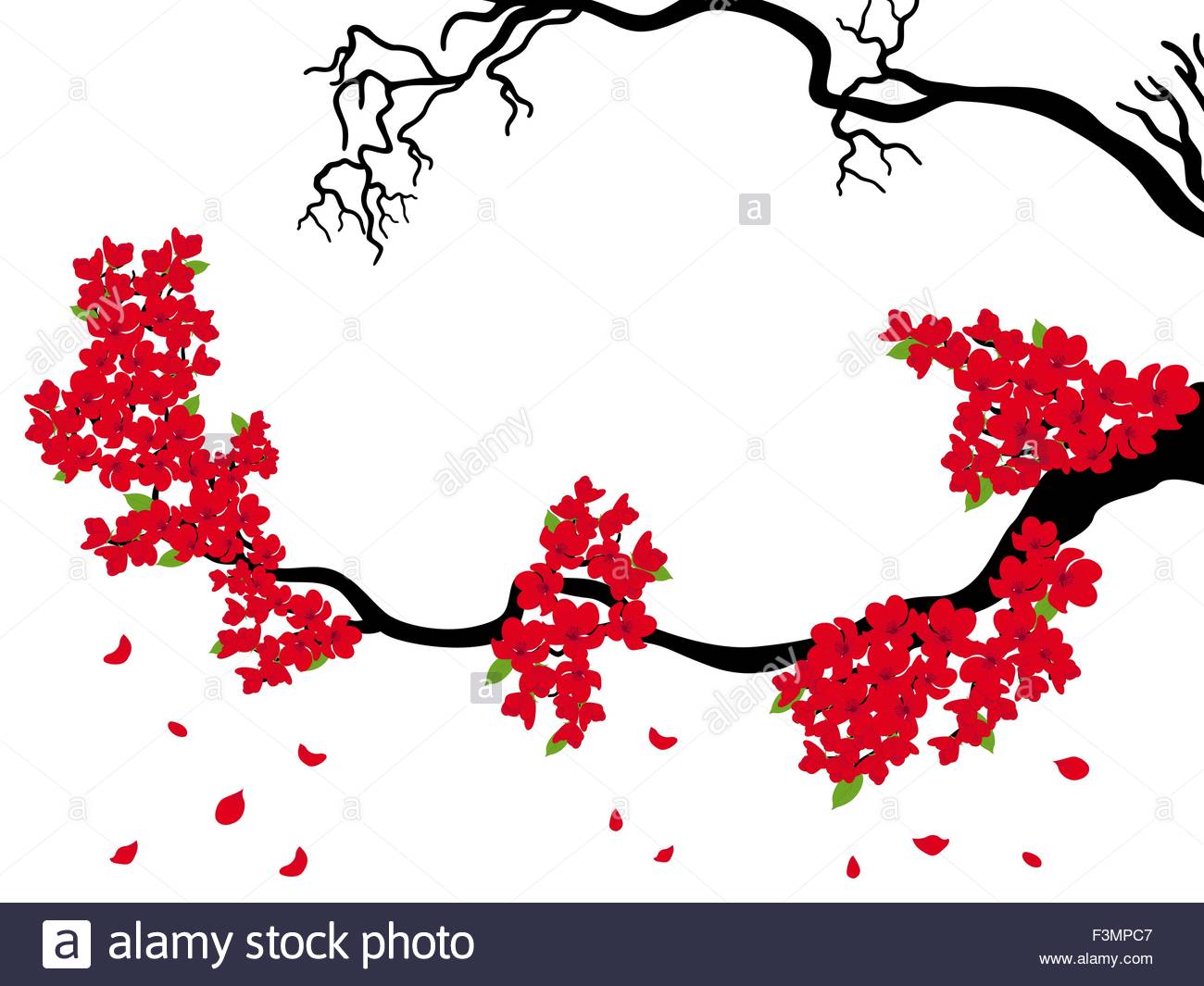 1300x1065 Blooming And Dried Sakura Branches (Japanese Cherry Tree) On
