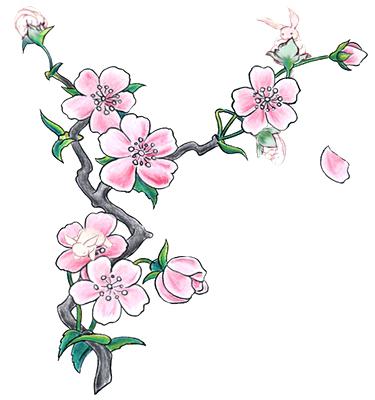 375x400 Cherry Blossom Drawing How To Draw A Cherry Blossom For Kids Step