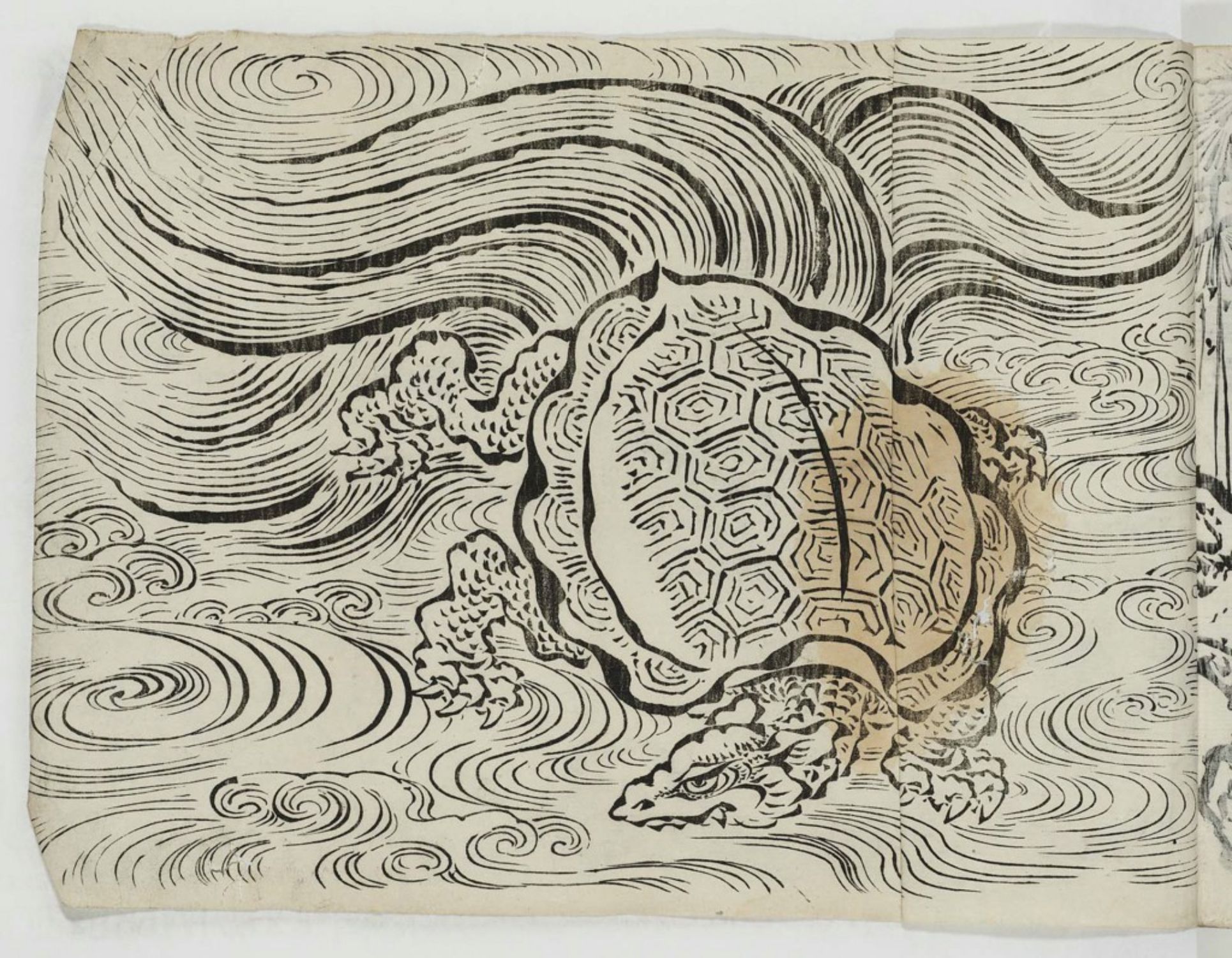 1930x1500 Unknown Turtle Of Longevity (Minogame)