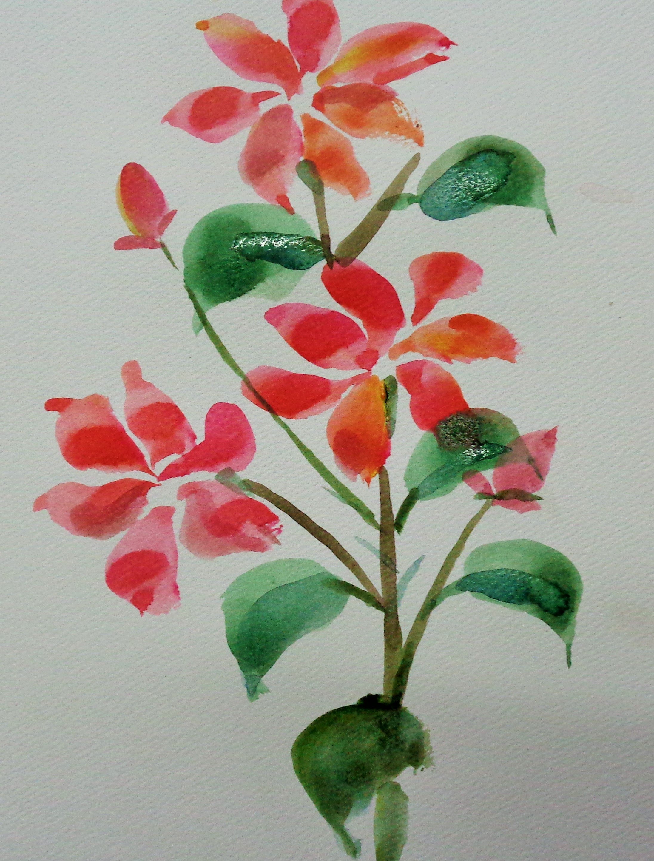 2192x2886 How To Draw Flowers