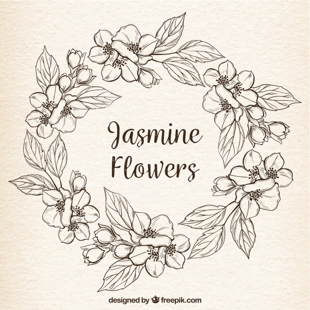 626x626 Vintage Background With Hand Drawn Jasmine Wreath Vector Free