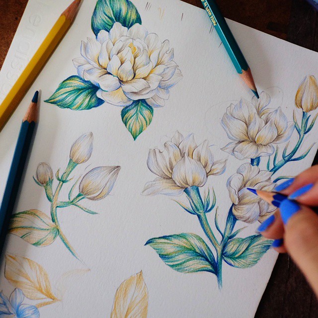 640x640 Faiirivyscurly Jasmines