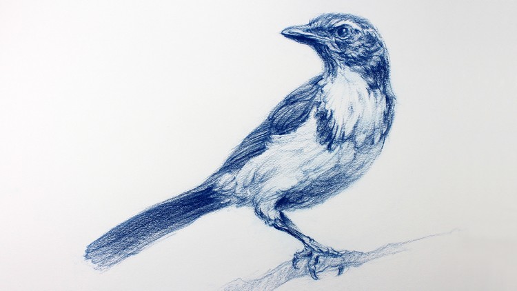 750x422 The Art Amp Science Of Drawing Basic Skills Udemy