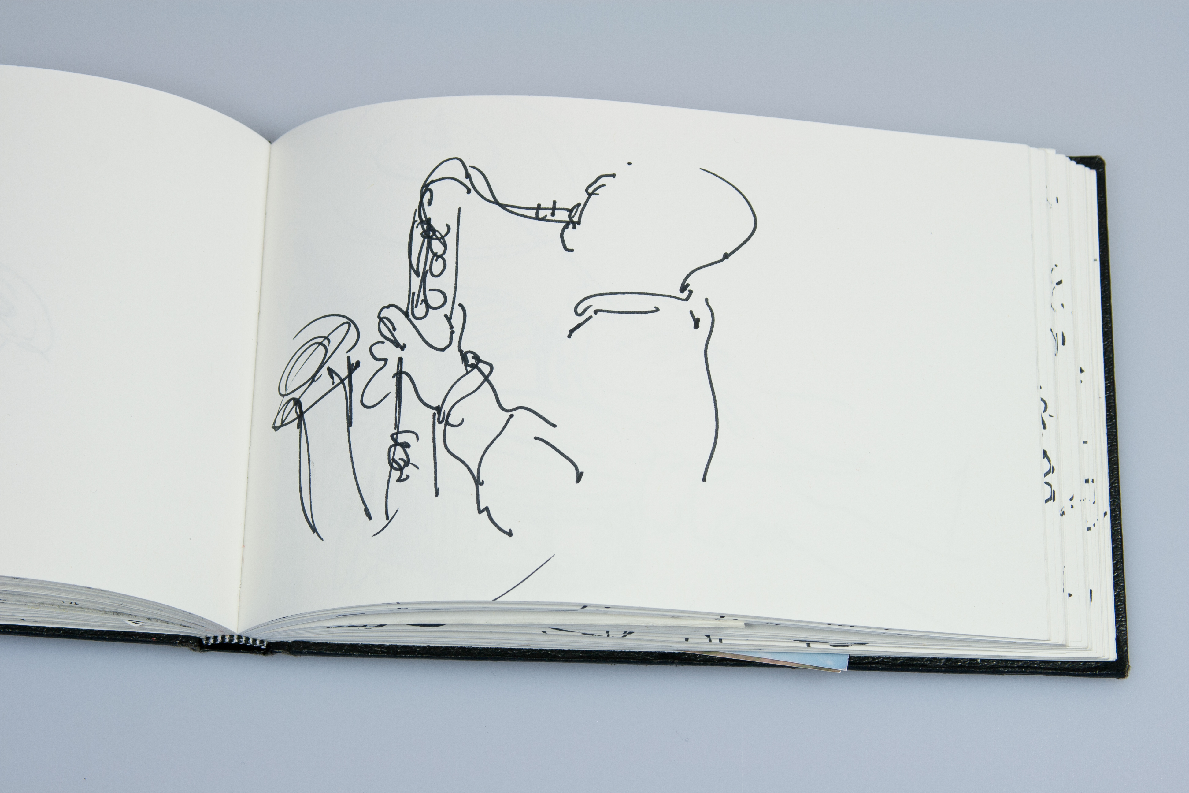 3888x2592 Jazz (What I Love And Why) Carla's Blog