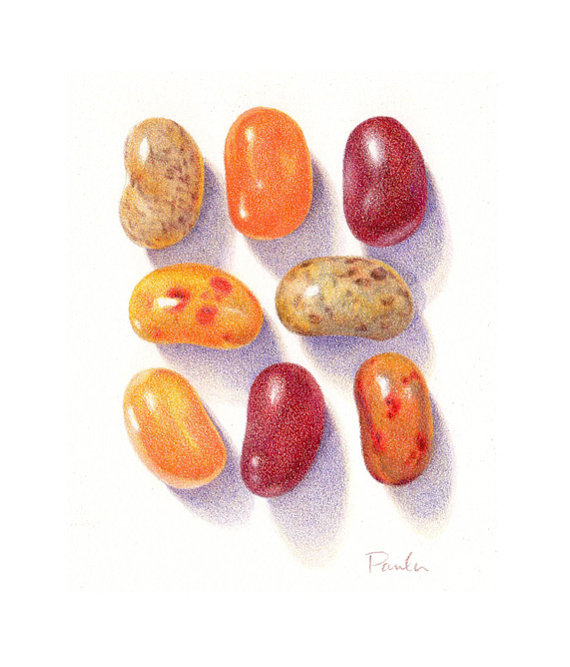 570x667 Realistic Colored Pencil Drawings Beans