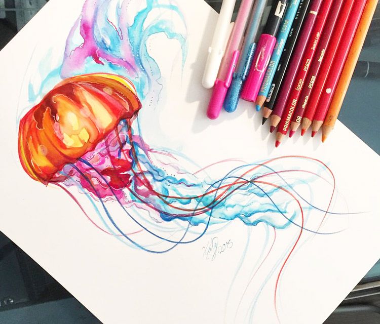 750x640 Jellyfish Color Drawing By Katy Lipscomb Art Jellyfish