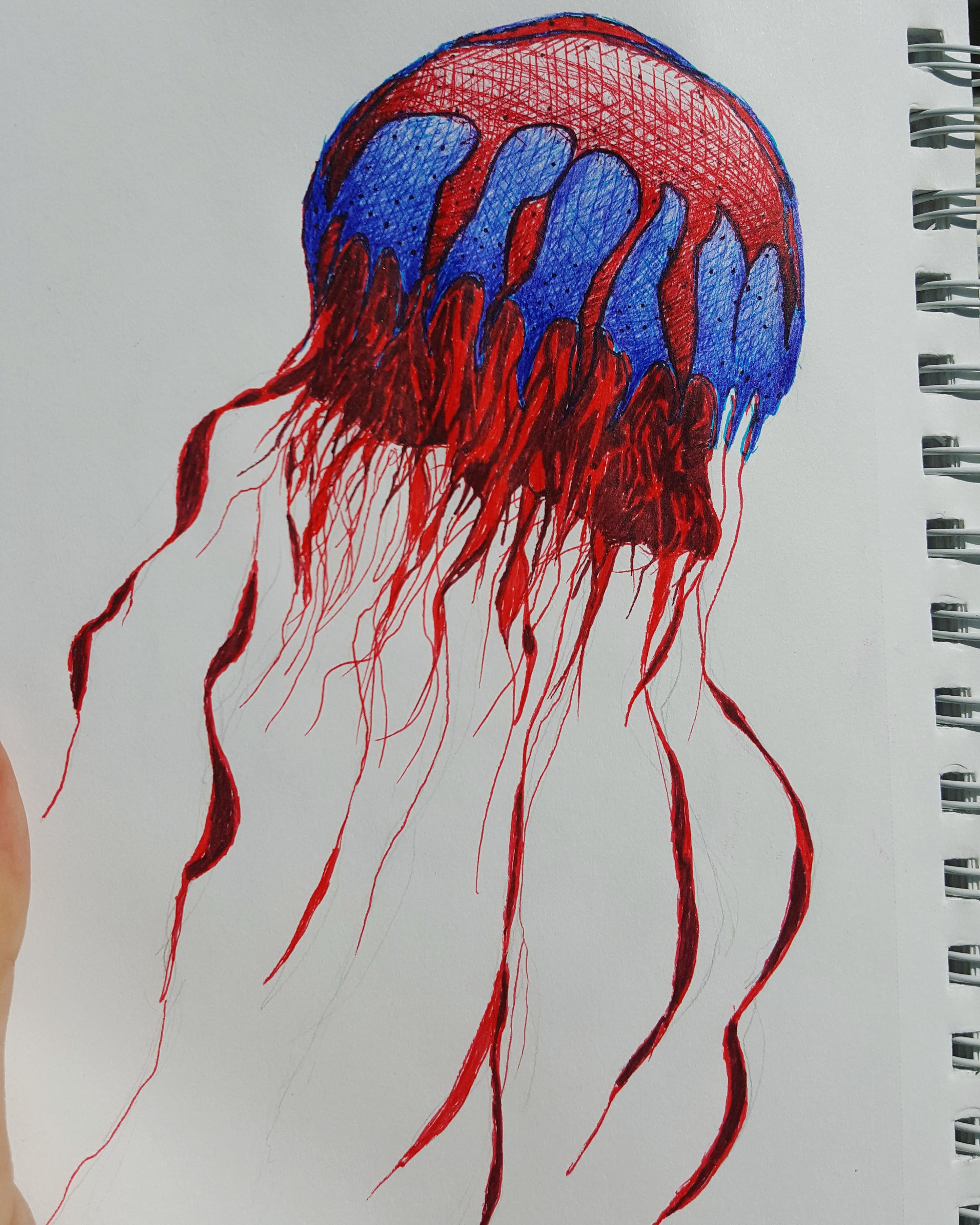 2988x3735 Jellyfish Drawing
