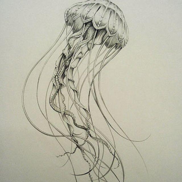 Jellyfish Tattoo Drawing at GetDrawings | Free download