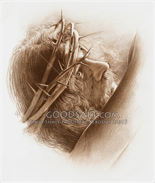 508x600 View Of Jesus Wearing Crown Of Thorns