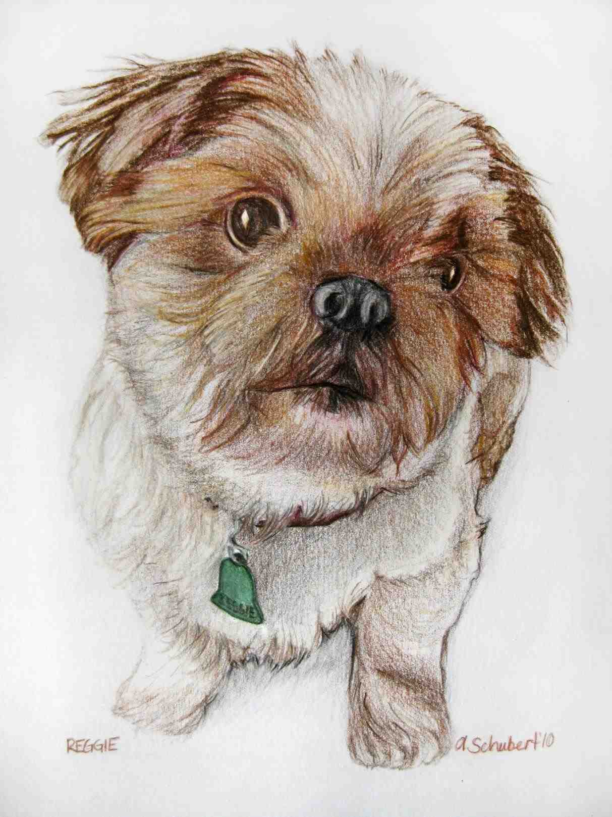 1213x1618 The Images Collection Of Stock Illustration Jumping Dog Drawing