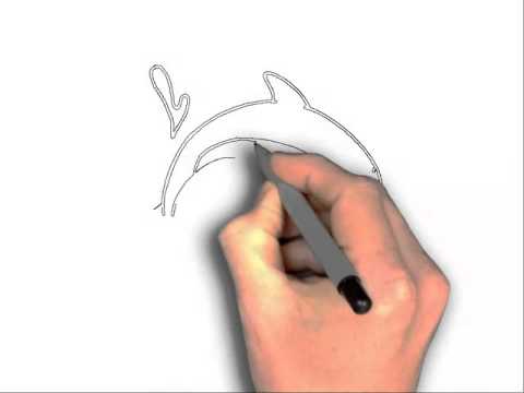 480x360 How To Draw A Dolphin Jumping Out Of Water Step By Step