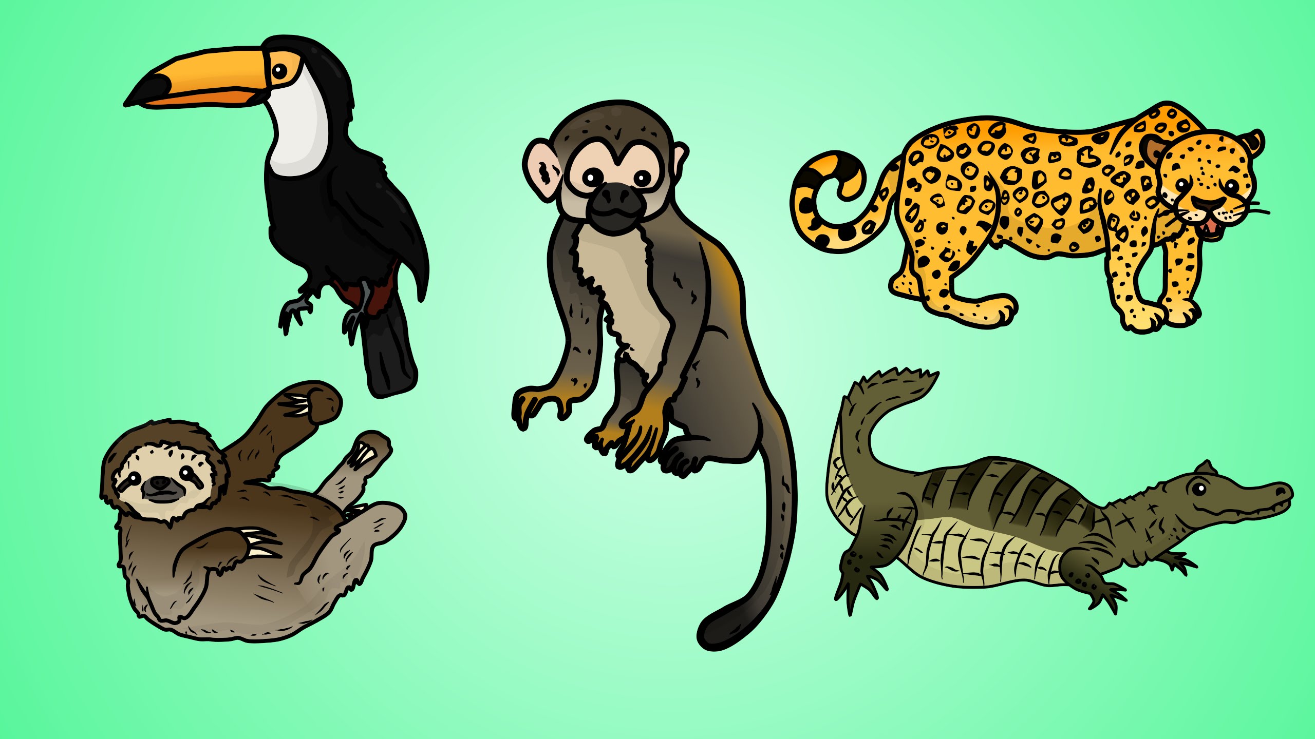2560x1440 Draw Five How To Draw Jungle Animals
