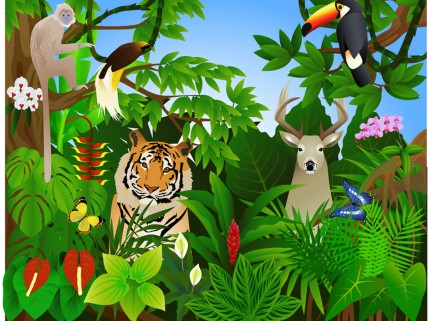 428x321 Drawing Of Jungle For Kids