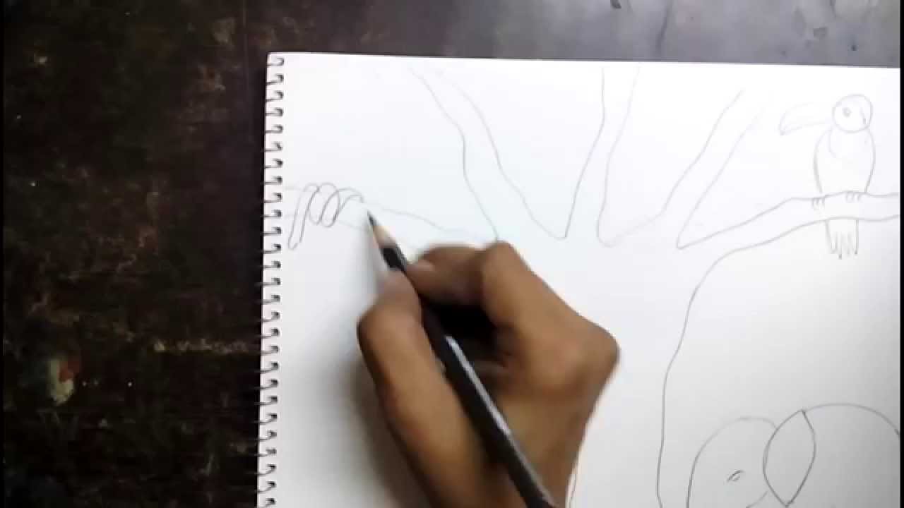 1280x720 How To Draw A Jungle Scene For Kids