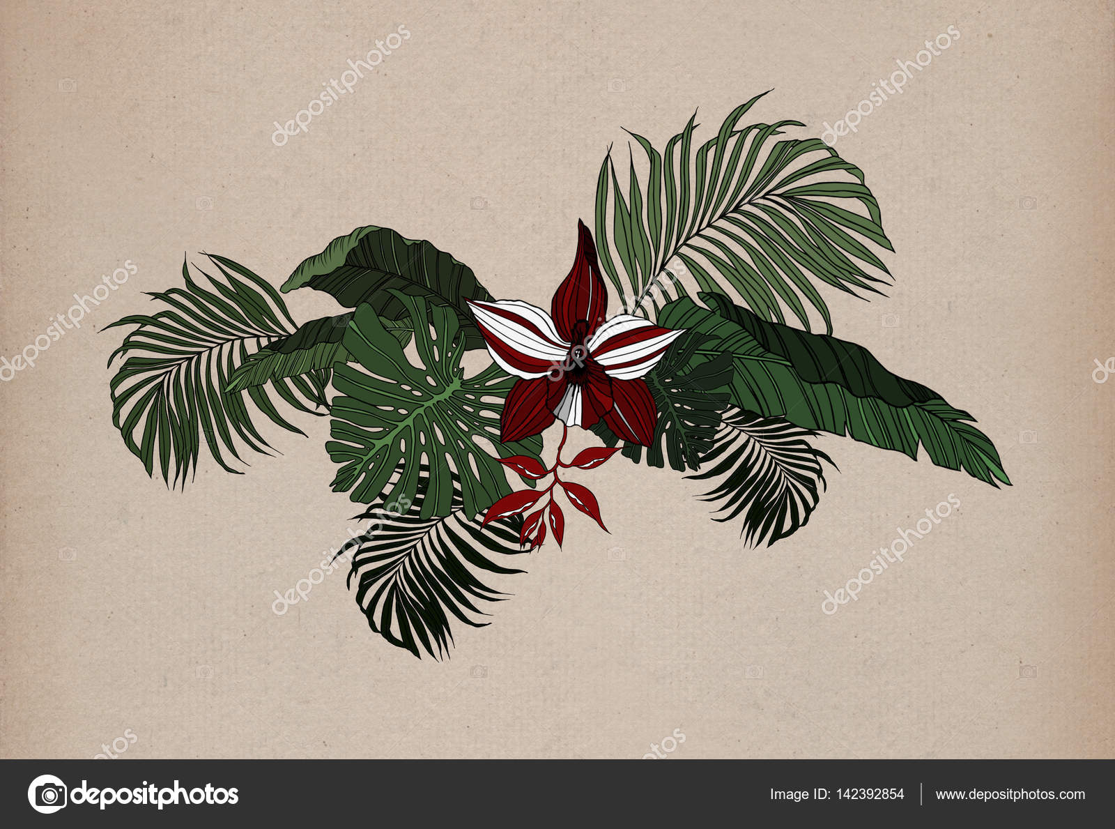 1600x1189 Jungle Leaves Drawing Pattern Stock Photo Piolka