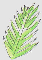 146x210 Chunky Monkey Rainforest Drawing Lessons,