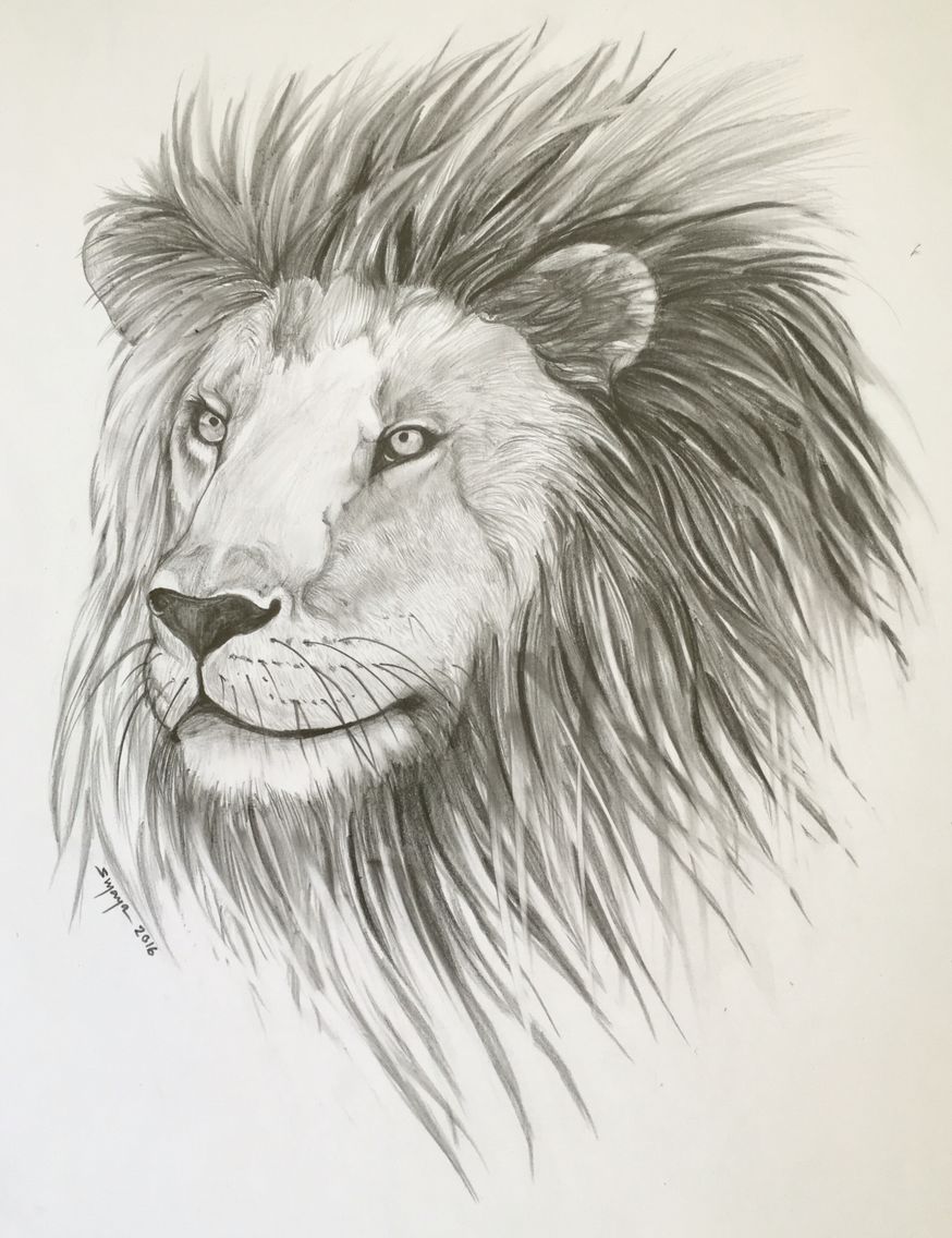 874x1136 King Of The Jungle