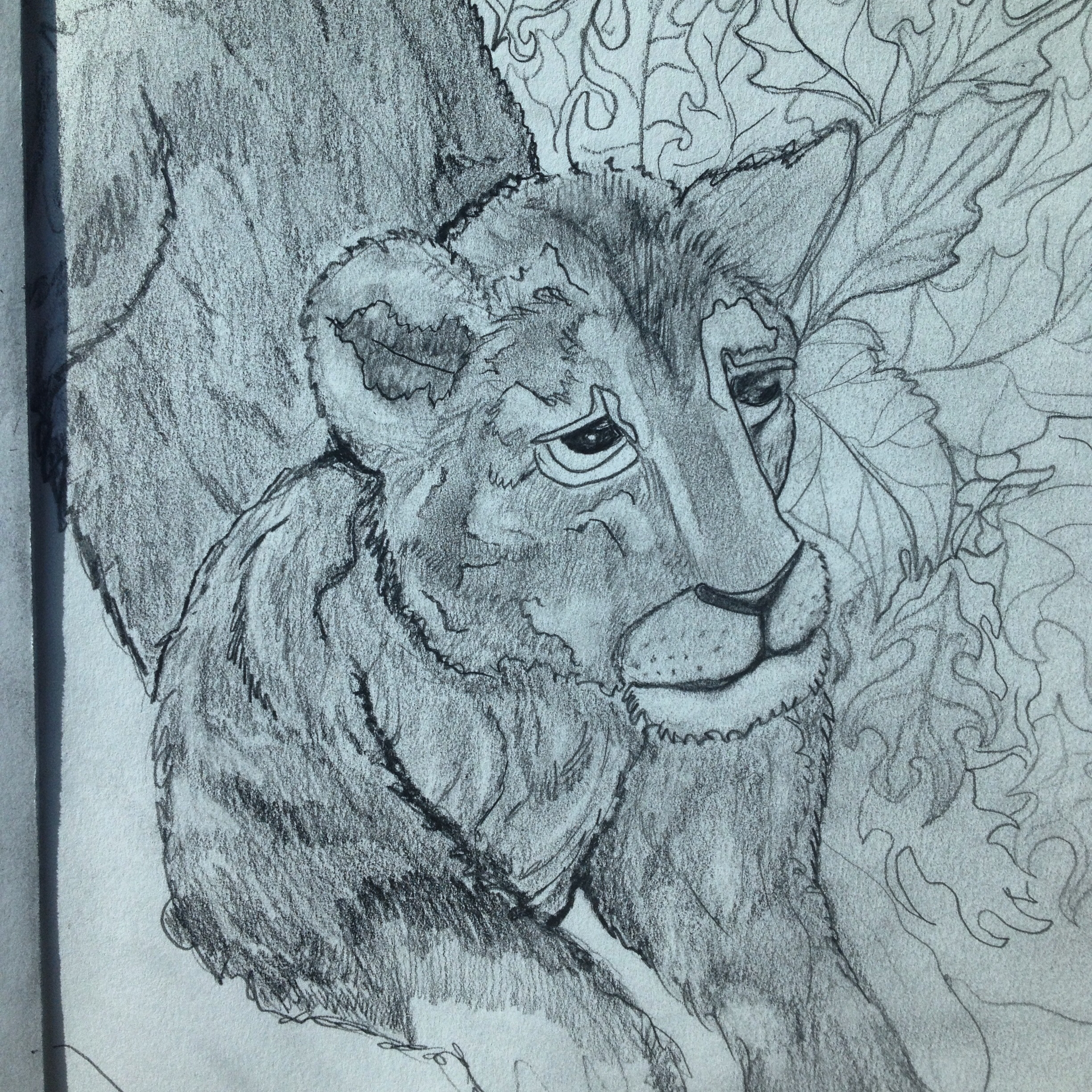 2448x2448 Tiger Jungle Sketch Sketches And Pencil Drawings