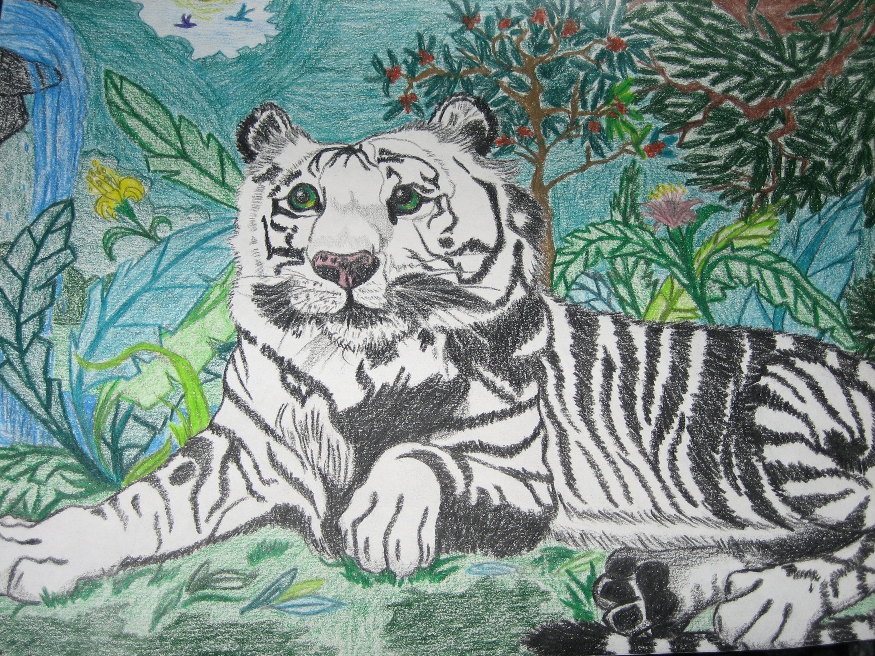 2816x2112 Tiger In The Jungle Color Pencil Sketch Drawing I Did A Few Years