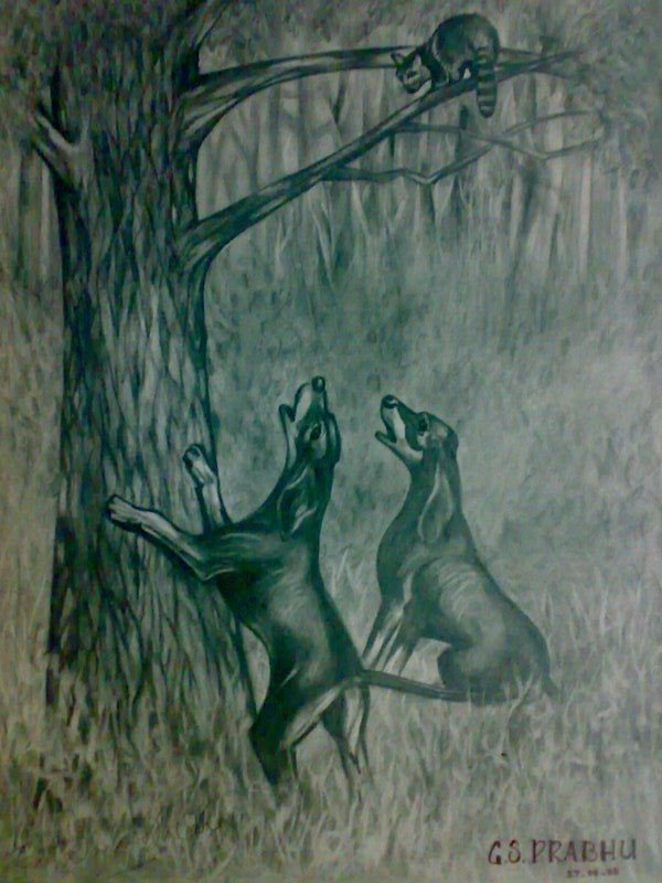 600x800 Family Tree Sketch Drawing Hounds Against Feline Pencil