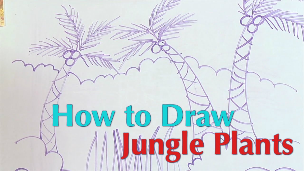 1280x720 How To Draw Jungle Plants