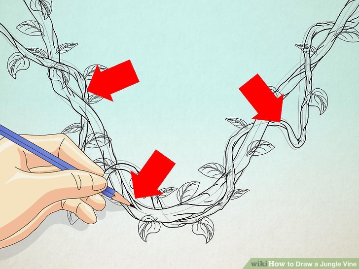 728x546 How To Draw A Jungle Vine 7 Steps (With Pictures)