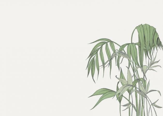 Jungle Plants Drawing at GetDrawings | Free download