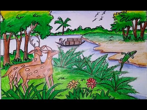 480x360 How To Draw A Scenery Of Sundarbans Forest Step By Step