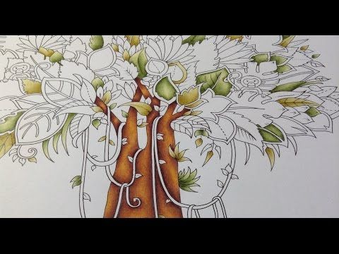 480x360 Magical Jungle