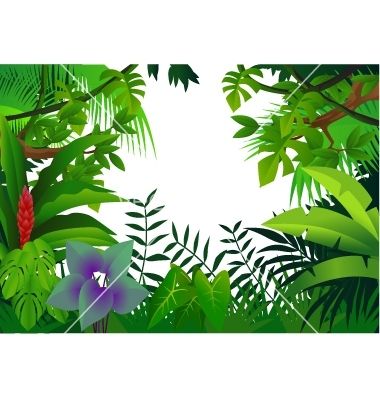 How To Draw Rainforest Leaves Learn How To Draw