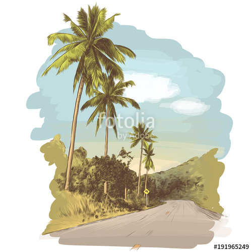 500x500 Road And Jungle With Palm Trees On The Edges, Sketch Vector