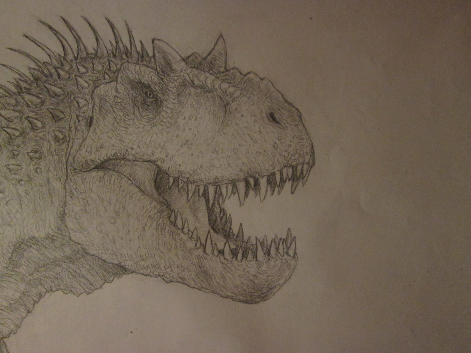 1600x1200 Indominus Rex Concept Drawing, Head Shot By Anthonyhoogsteden