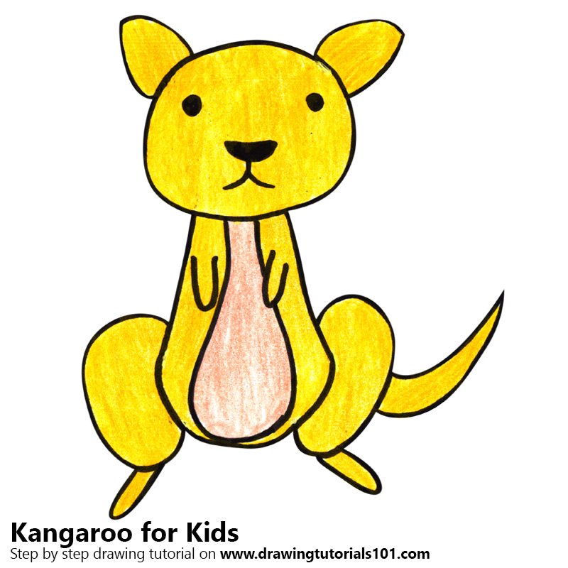 800x800 Learn How To Draw A Kangaroo For Kids (Animals For Kids) Step By