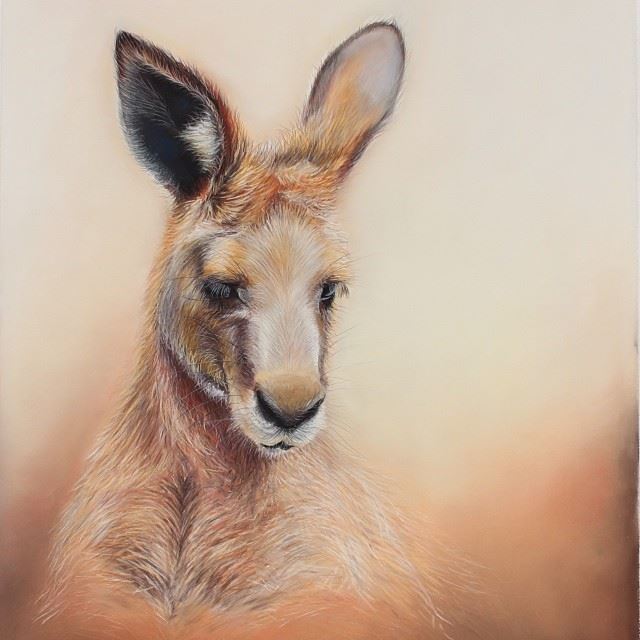 640x640 Kangaroo Color Pencil Drawing By Joannebarby Image Preview Image