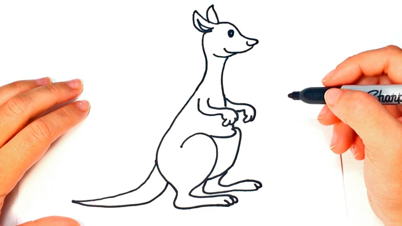 1280x720 How To Draw A Kangaroo Kangaroo Easy Draw Tutorial