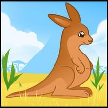 220x220 How To Draw How To Draw A Kangaroo For Kids