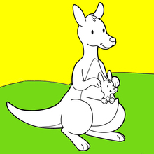 220x220 Kangaroo Coloring Pages, Drawing For Kids, Videos For Kids, Free