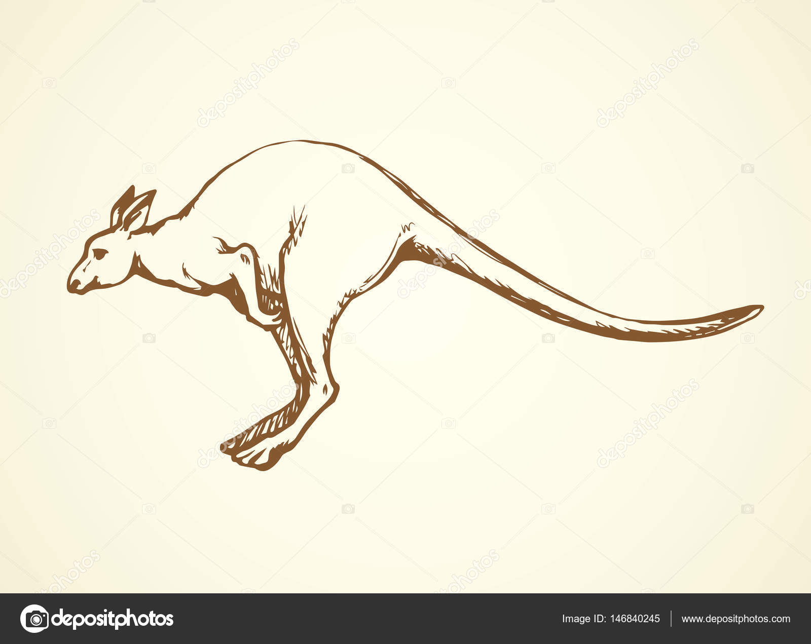 1600x1271 Kangaroo. Vector Drawing Stock Vector Marinka