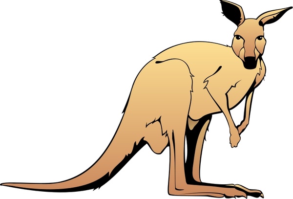 600x407 Kangaroo Free Vector In Open Office Drawing Svg ( Svg ) Vector