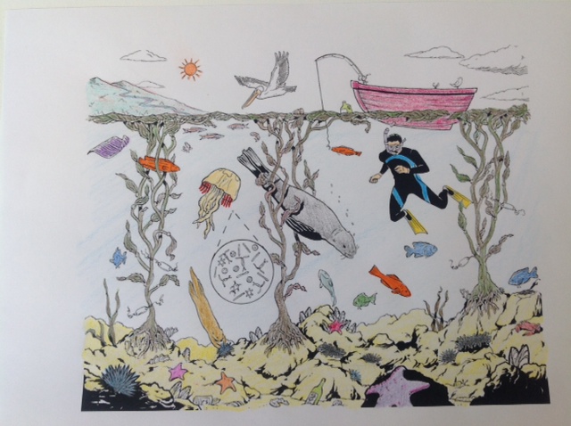 640x478 Kelp Forest Habitat Drawing