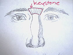 250x188 How To Draw A Nose