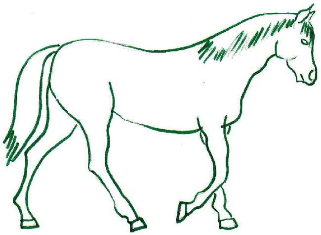 650x475 Horse Template