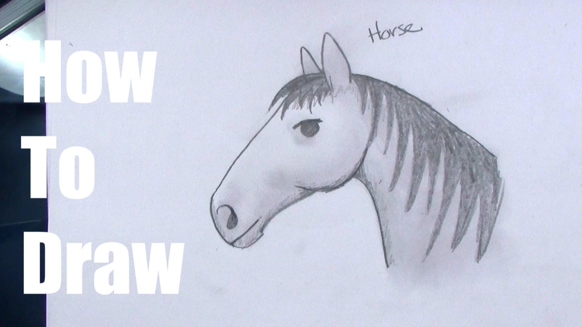 1920x1080 How To Draw A Horse For Kids Step By Step